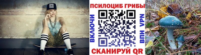 Галлюциногенные грибы Psilocybine cubensis  Щигры 